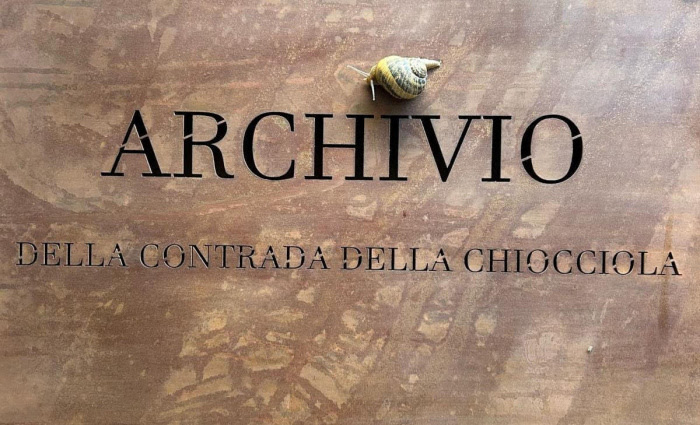 Siena, Contrada della Chiocciola, IV edizione Carte in dimora 2025 – Archivi e Biblioteche: storie tra passato e&nbsp;futuro