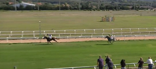 Ippica, Sassari: Oggi 10/12 Risultati Odierno Convegno di&nbsp;Corse