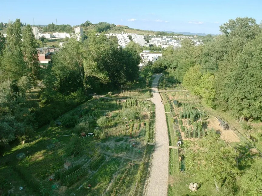 Siena: Orti urbani San Miniato, pubblicato l’avviso per&nbsp;l’assegnazione
